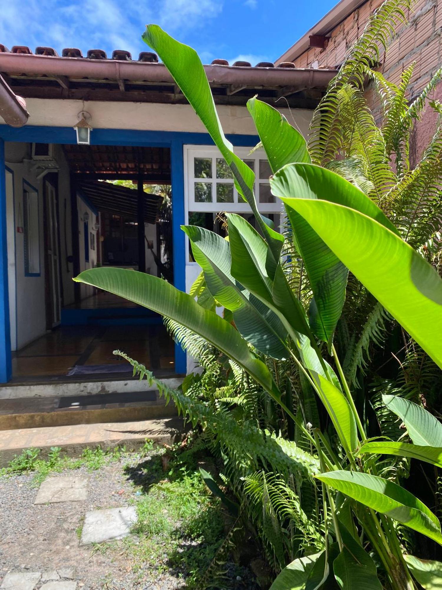 Tropicália Pousada Hostel Itacaré Esterno foto